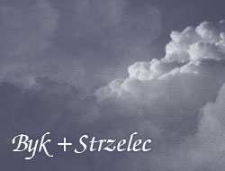 Byk i Strzelec