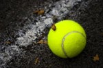 Tenis