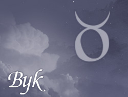 Byk