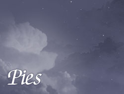 Pies