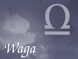 Waga